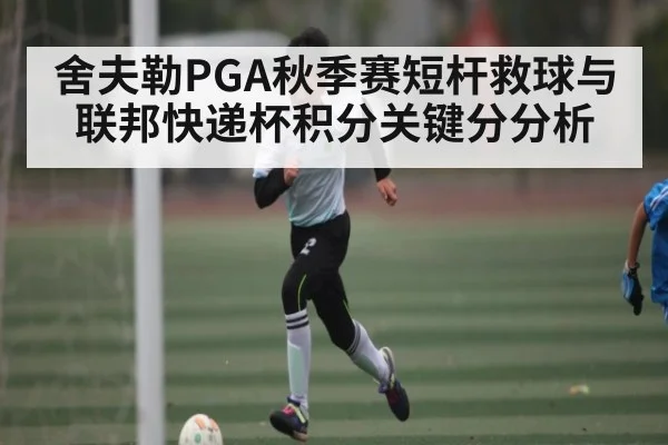 舍夫勒PGA秋季赛短杆救球与联邦快递杯积分关键分分析 - kaiyun
